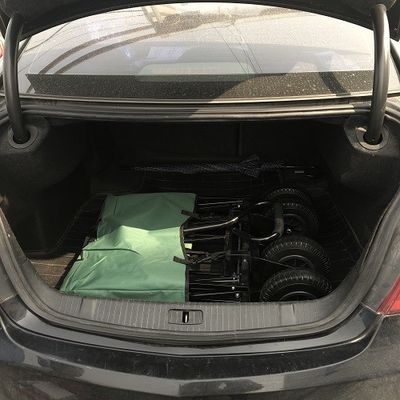 Freizeit-Falten-Strand-Lastwagen-Grün-Gebrauchslastwagen mit Luft-Rad 80kgs
